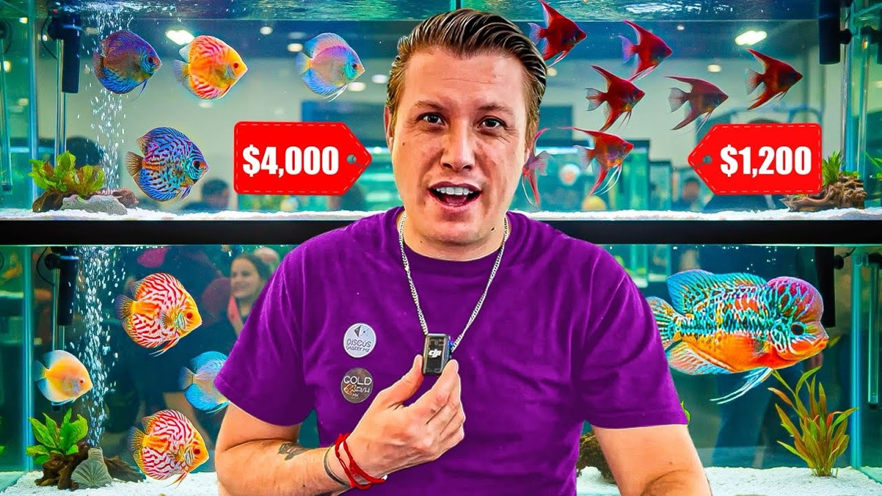 No creerás lo que encontré en la expo de PECES mas GRANDE de MEXICO