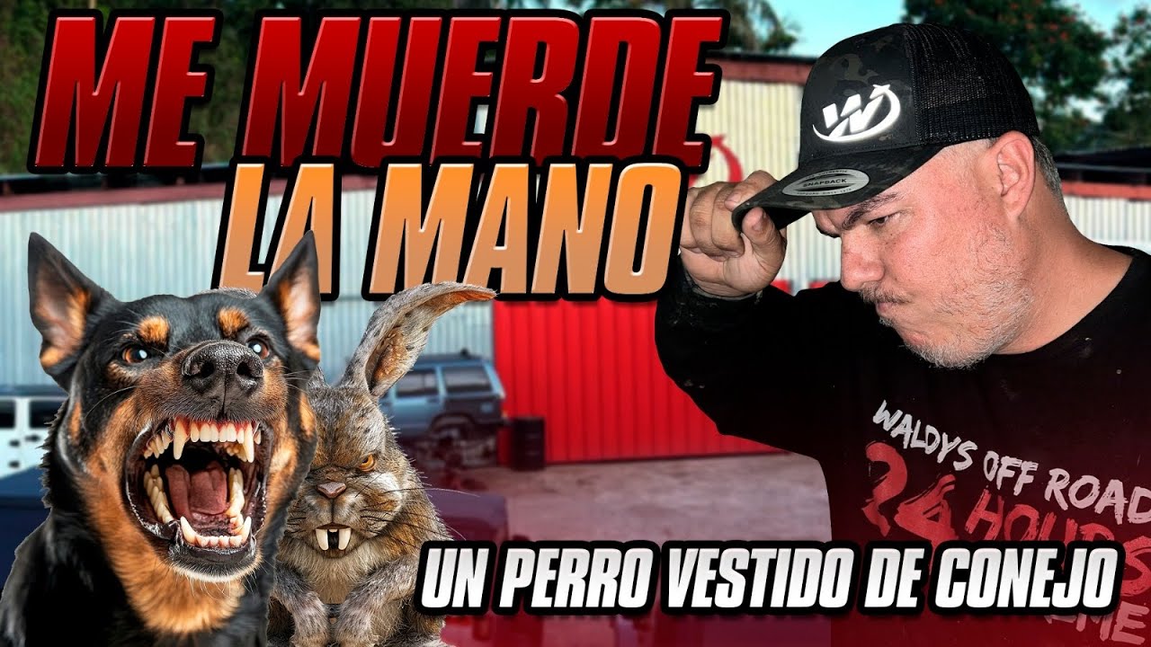 Que Paso en el Taller? Cap 5 Eres un PERRO te voy a tirar al MEDIO! 🐰 😡 