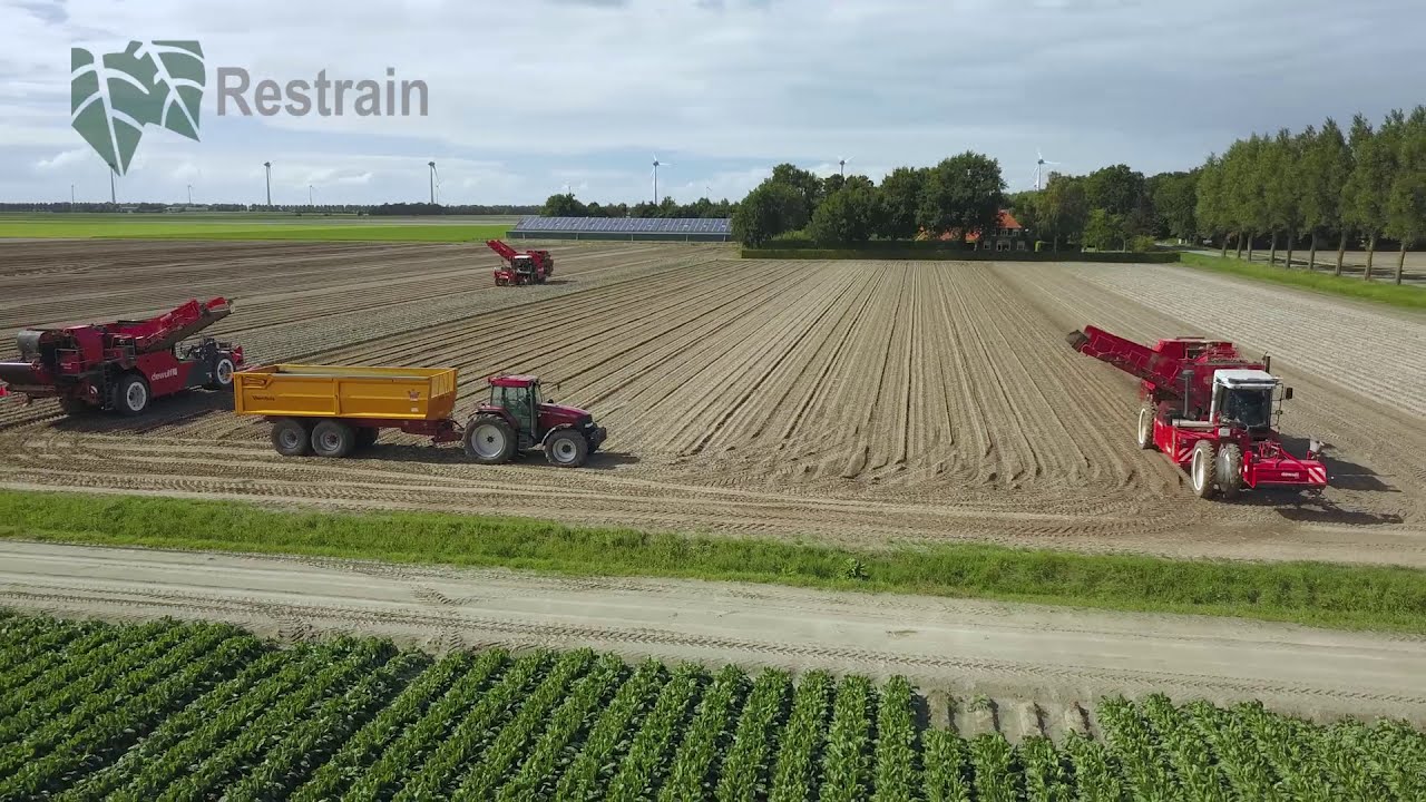 Restrain Ethyleen behandeling voor Pootgoed in 2 minuten