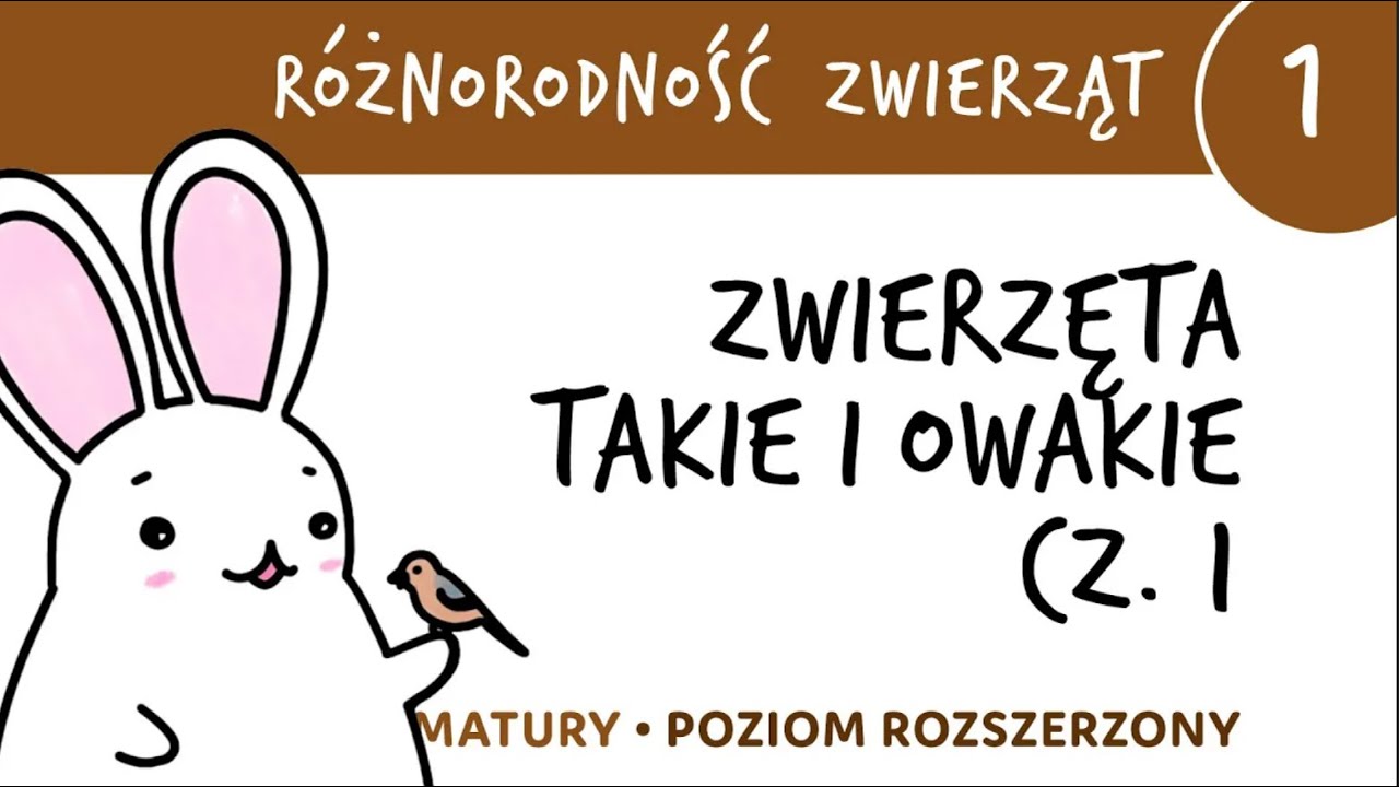 Różnorodność zwierząt 1 🐸 Zwierzęta takie i owakie cz.1 - matura z biologii rozszerzona