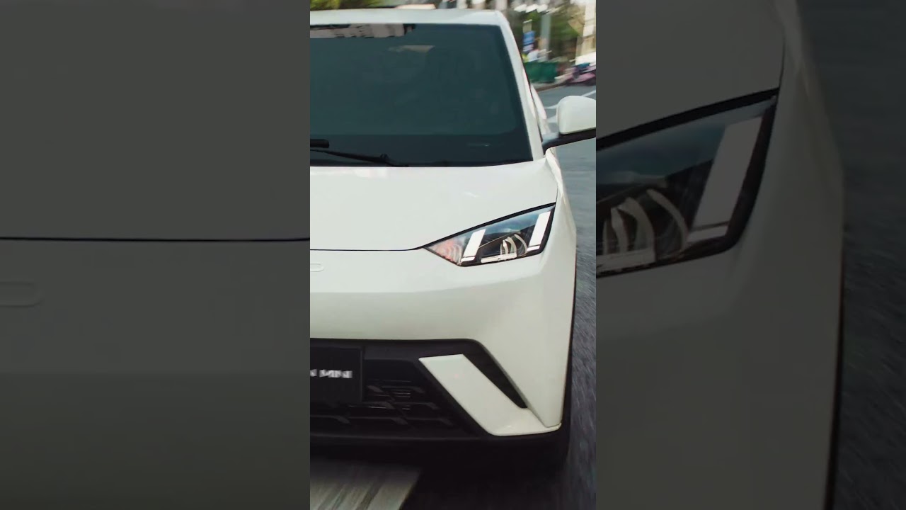 BYD DOLPHIN MINI | Functional Features
