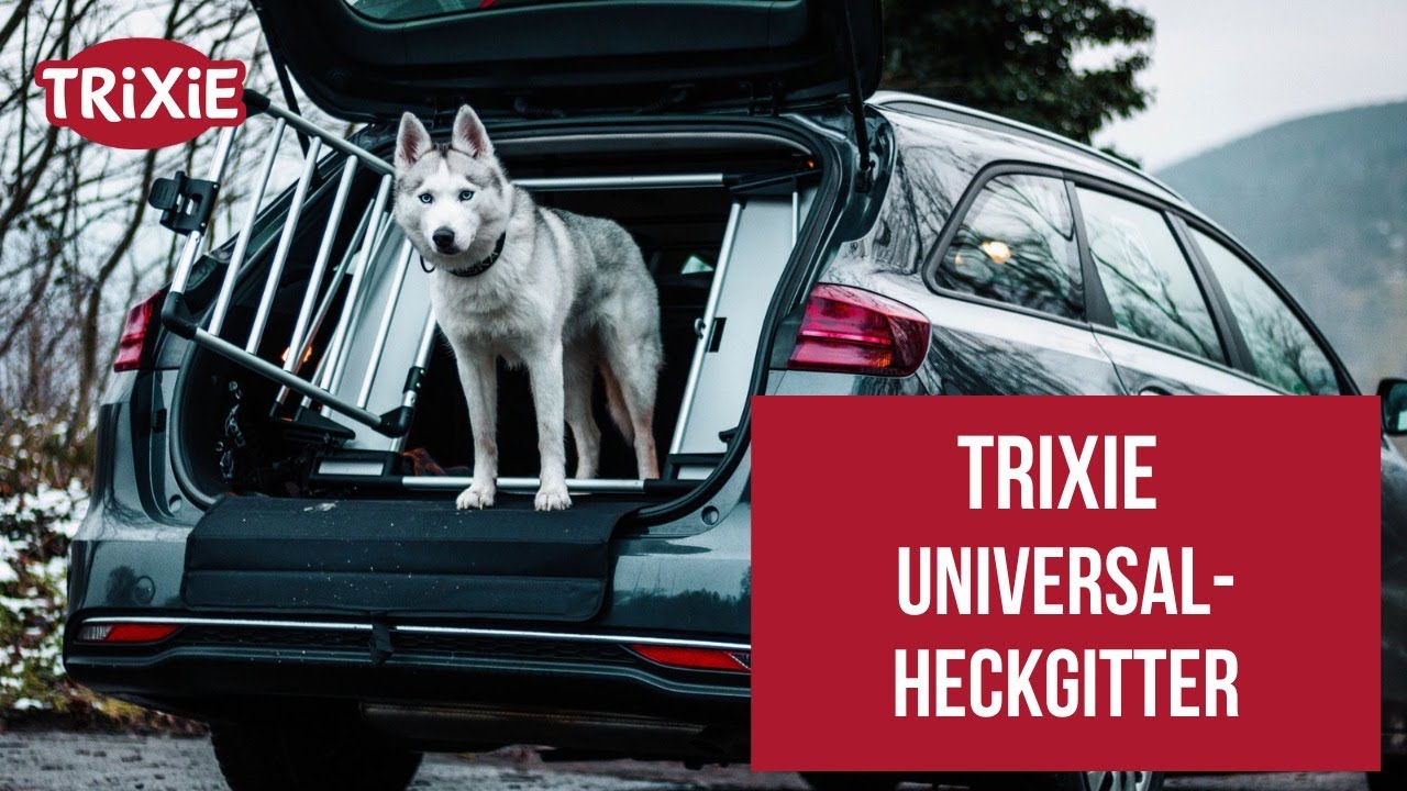 TRIXIE Universal-Heckgitter im Einsatz - sicher unterwegs mit Hund  🐶