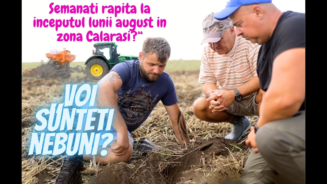 Voi sunteti nebuni?