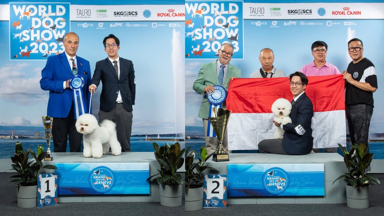 BEST IN GROUP 1st & RESERVE BEST IN SHOW - GENEVE GRAND PRIX 2023, SWITZERLAND