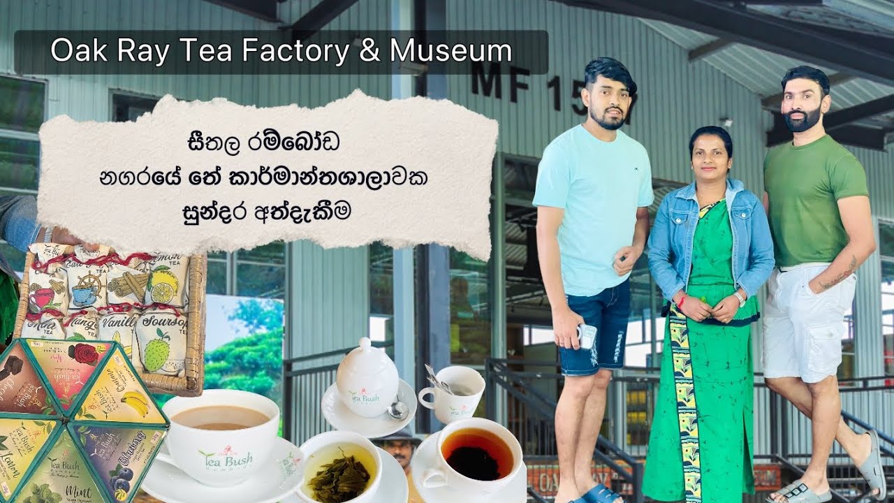 Sri lankan tea factory and museum 🇱🇰❤️|Oakray te bush - ramboda |#tea #teafactory #srilanka 
