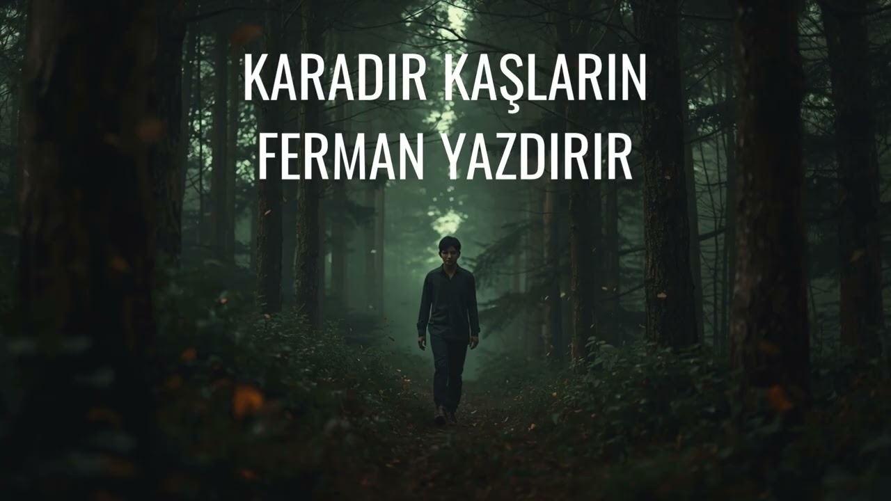 Karadır Kaşların Ferman Yazdırır | Psychedelic Anadolu Türküsü Anadolu Rock Cover #anadolurock