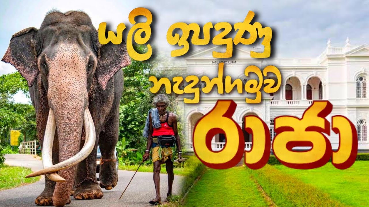 යලි ඉපදුණු නැදුන්ගමුව රාජා | Travel without Travel