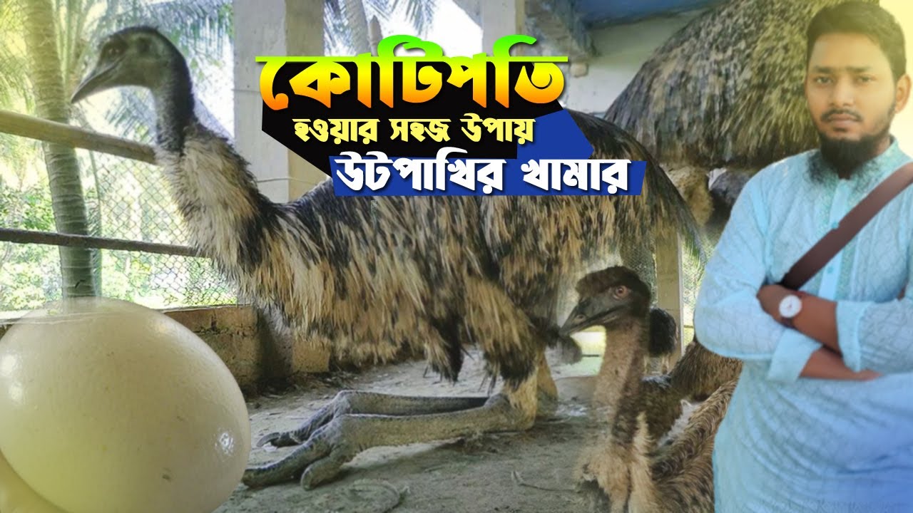 উটপাখি এবং ইমু পাখির কোটি টাকার খামার ।। Emu & Ostrich Bird in Khulna।। Our Destination