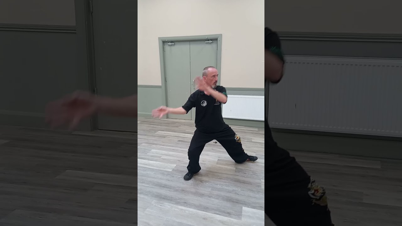 from Brush Right Foot (You Ca Jao)  #laojiayilu #martialarts #kungfu #taichi #taijiquan