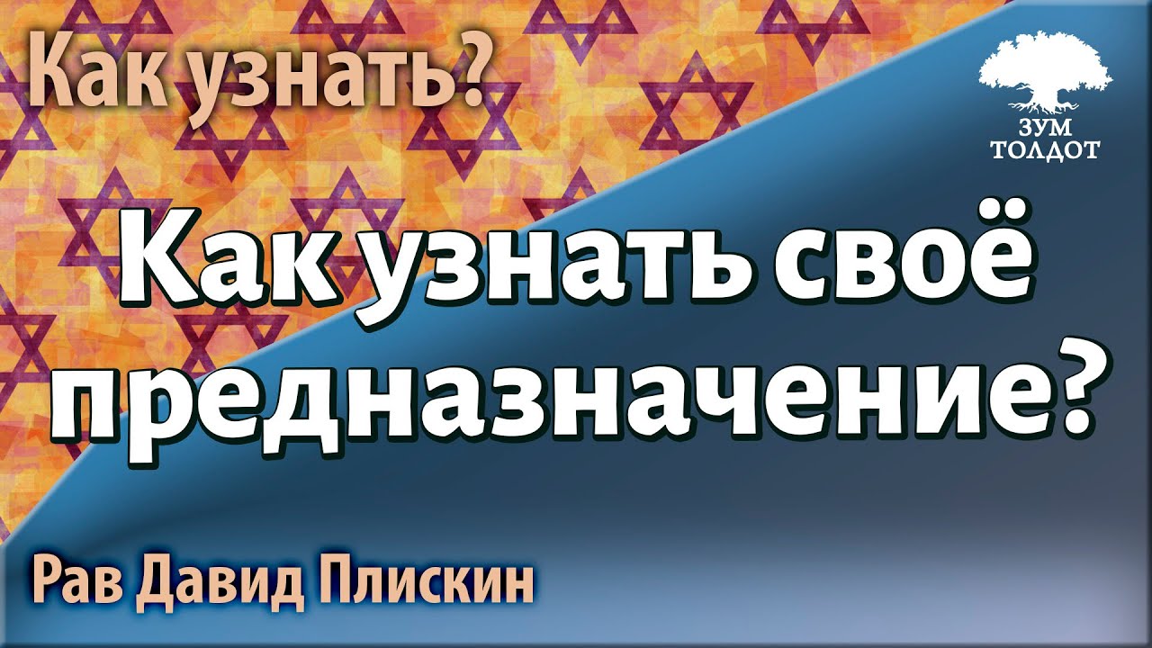 Как узнать свое предназначение? Рав Давид Плискин