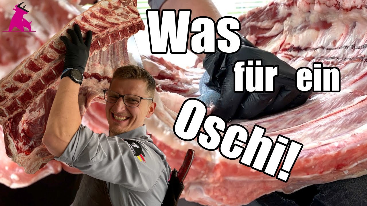 RIESIGES Rind ZERLEGEN? Wo befindet sich TOMAHAWK?
