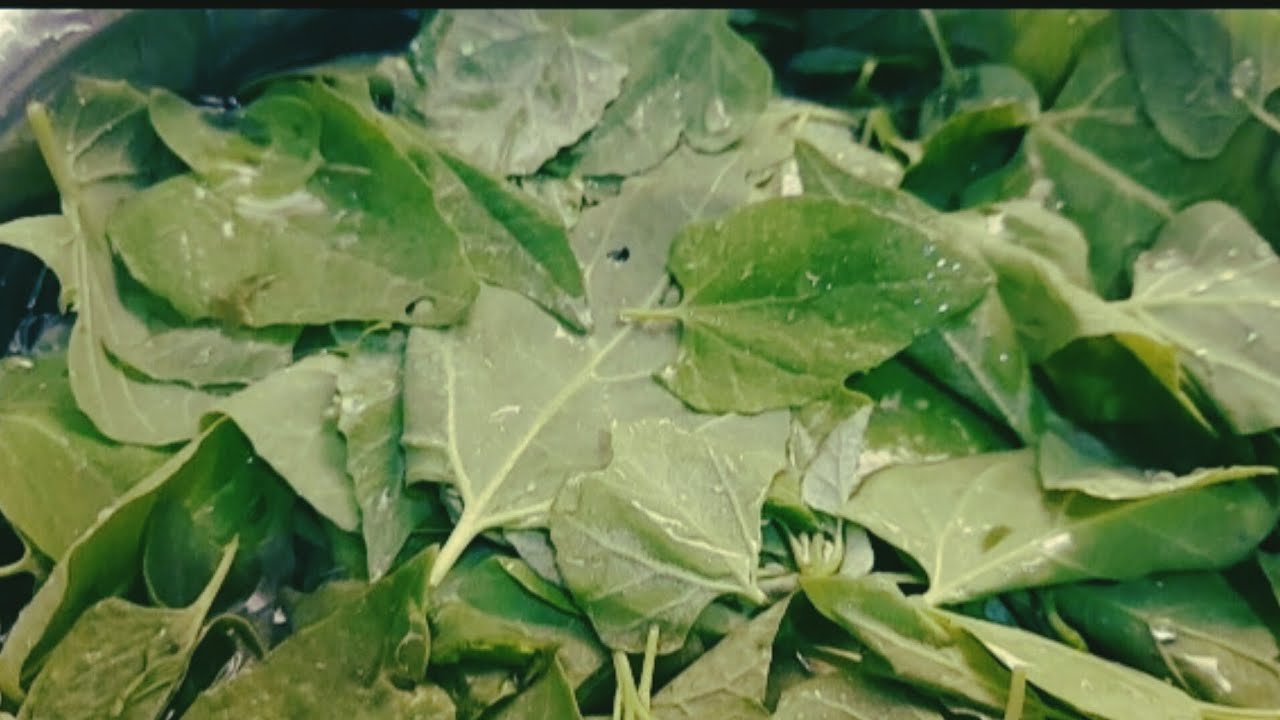 chakotha soppu Sambar