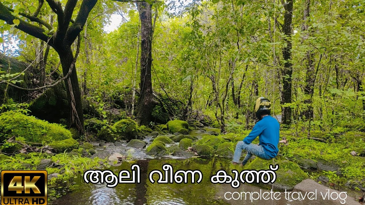 ആലി വീണ കുത്ത് കാടിനുള്ളിലെ വെള്ളചാട്ടത്തിലേക് ഒരു സാഹസിക യാത്ര#aaliveenakuth##ആലി വീണ കുത്ത്