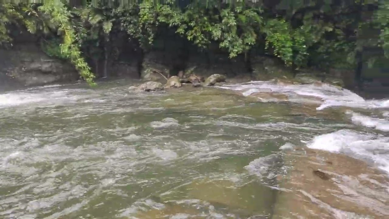 Single root  bridge falls