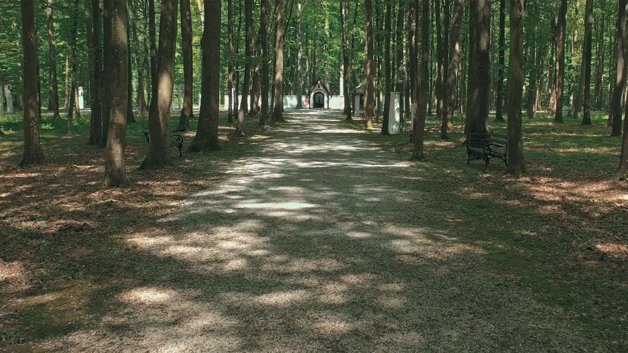 Stanko, Jacques i Pero feat. Rockoko Orchestra - Majka Šumanovačka (Official video)