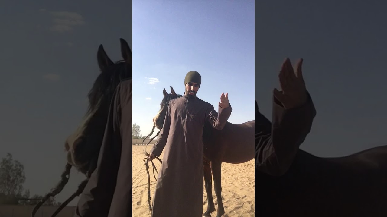 شرح تطبيقي عن موضوع الرجوع للخلف والتحكم بالاتجاه اثناء الرجوع وأهميته