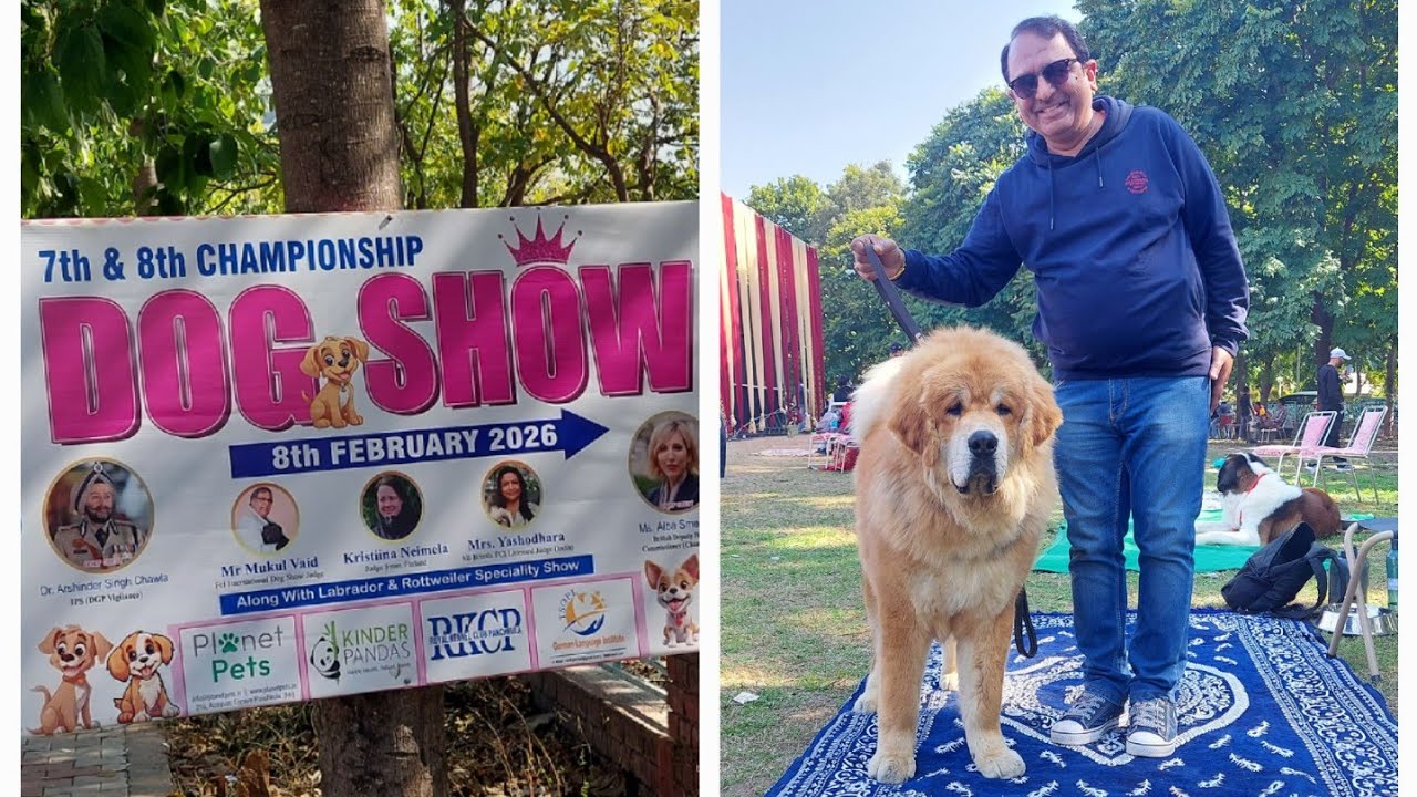 Dog Show Panchkula 2026 | Panchkula Dog Show 2026 | Dog Show in Panchkula, 8th Feb 2026 | Dog Show