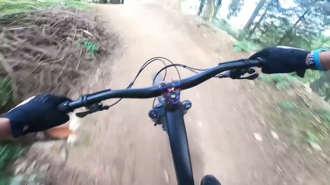 Le Moleson bikepark Poya trail (blue)