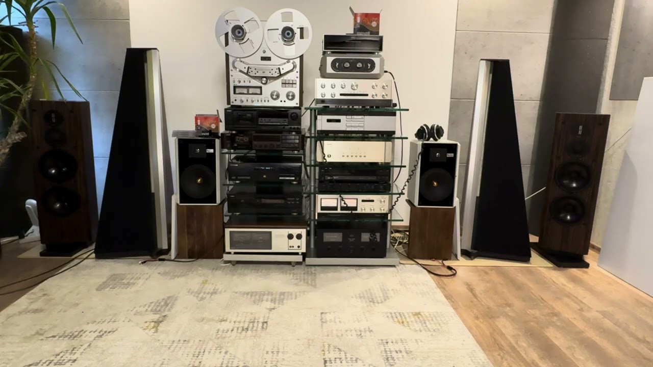 Dali Skyline 1000 + Accuphase 