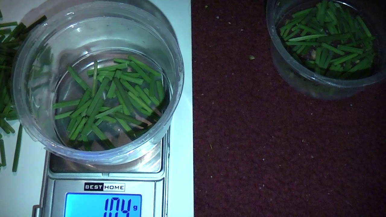 10,00 Gram Bieslook