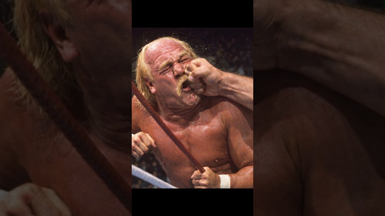 Why didn't Hulk Hogan apologize? #wwe #hulkhogan