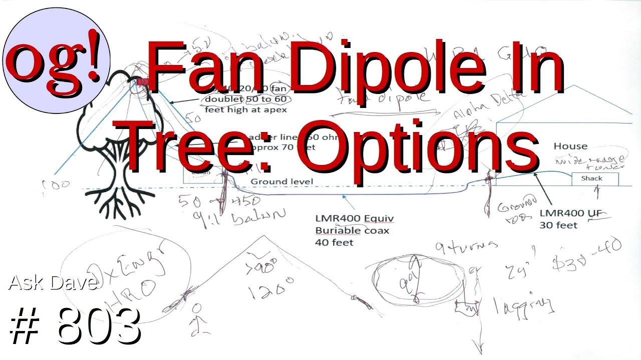Fan Dipole In Tree: Options (#803)