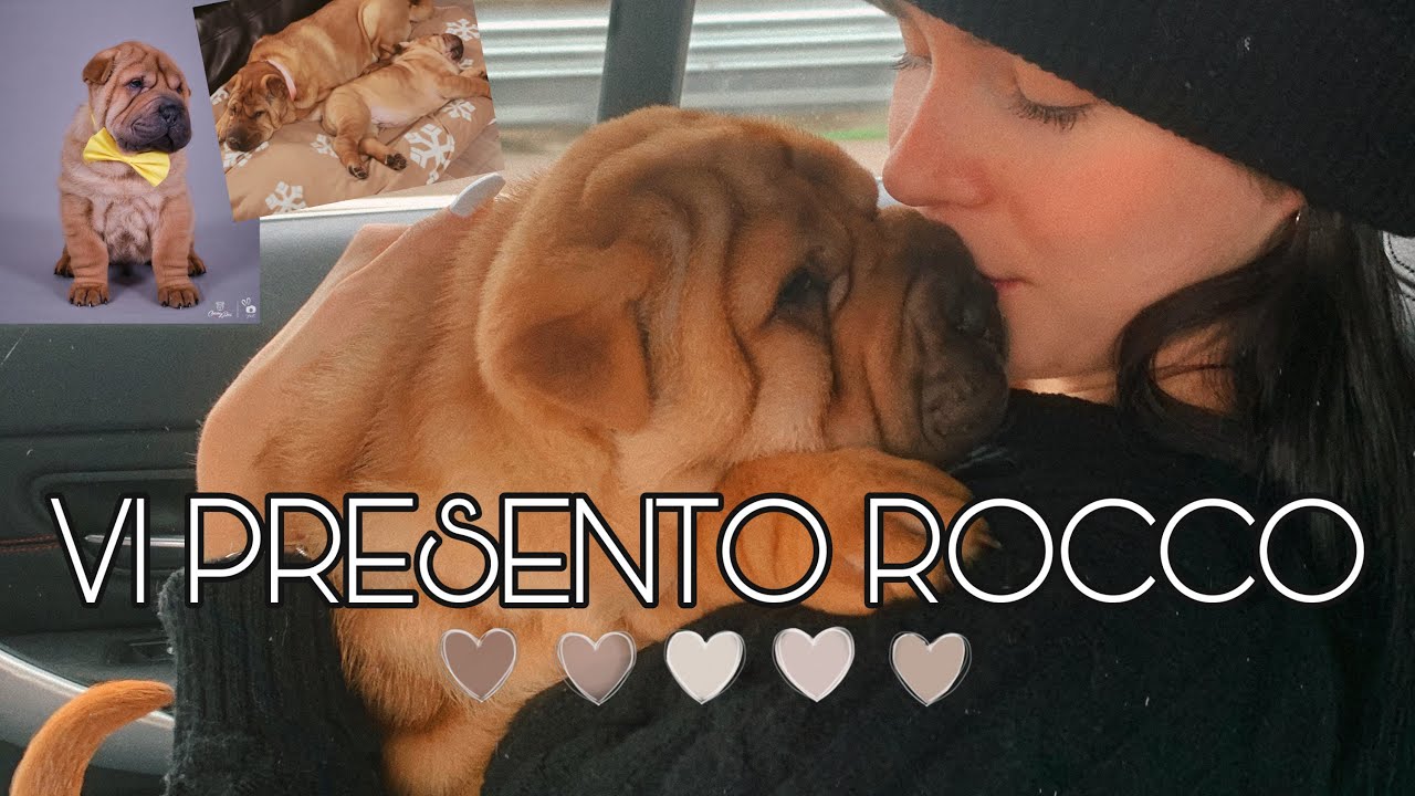 ♡Il mio nuovo cucciolo♡ |Elena Sofia