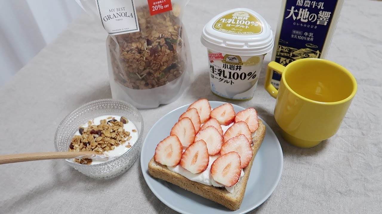 [ENG/日本語] 혼자 집순이 모드로 있었던 일본 주말 브이로그