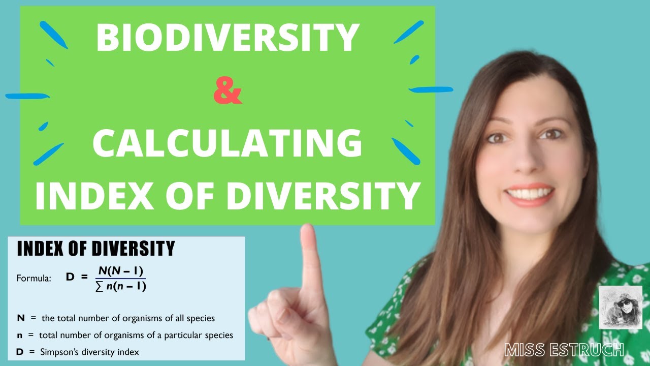 BIODIVERSITY & calculating INDEX of DIVERSITY. Human impact and definitions for A-Level Biology