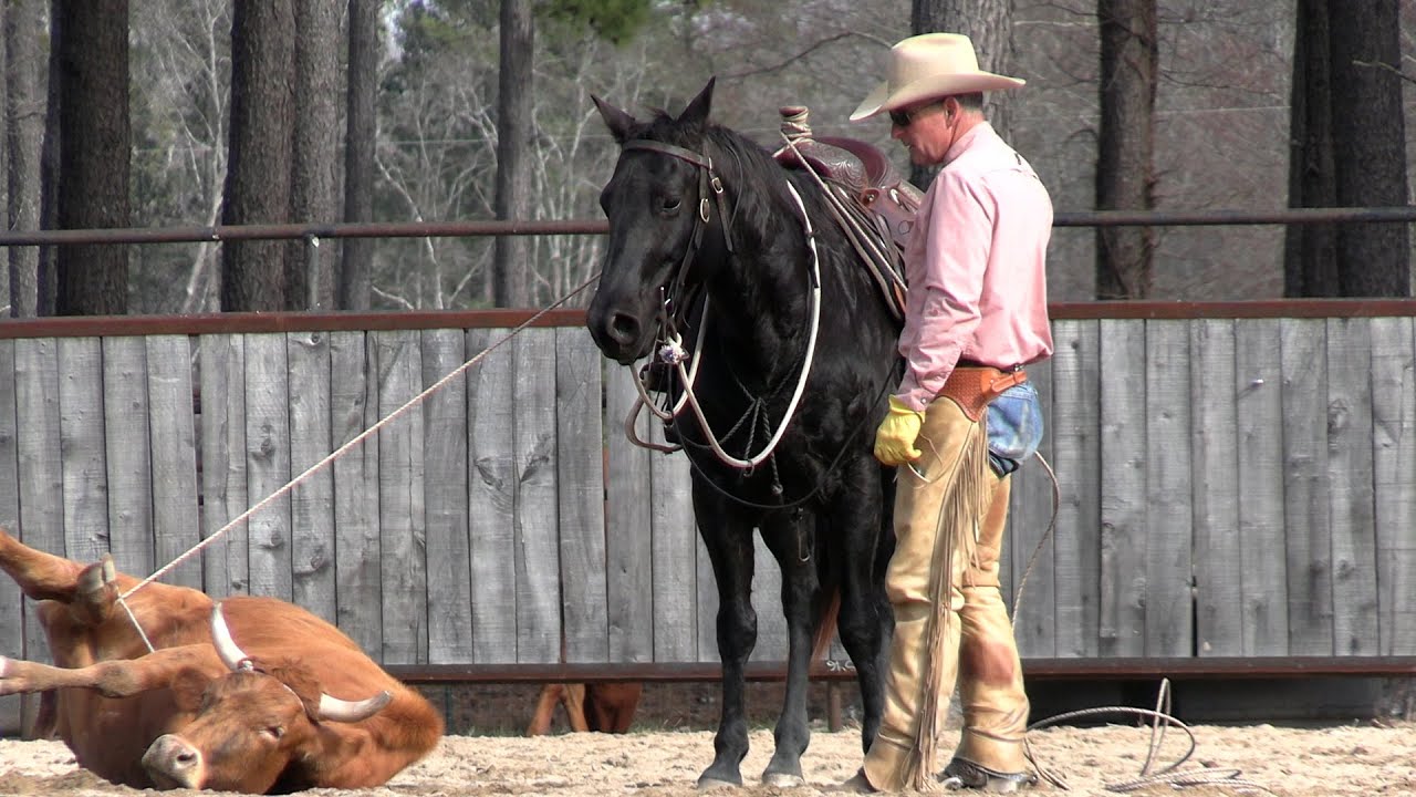 Teaching Pepper the El Guapo Preview