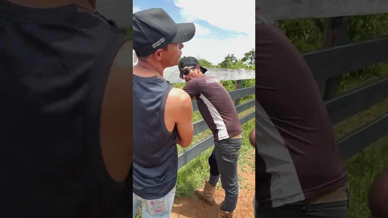 O Miguel não gosta de trabalhar