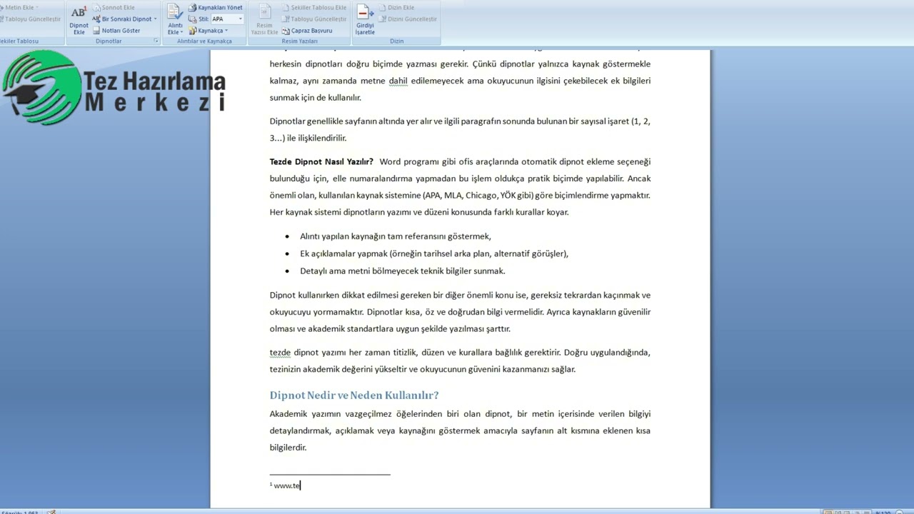 Tezde Dipnot Nasıl Yazılır?