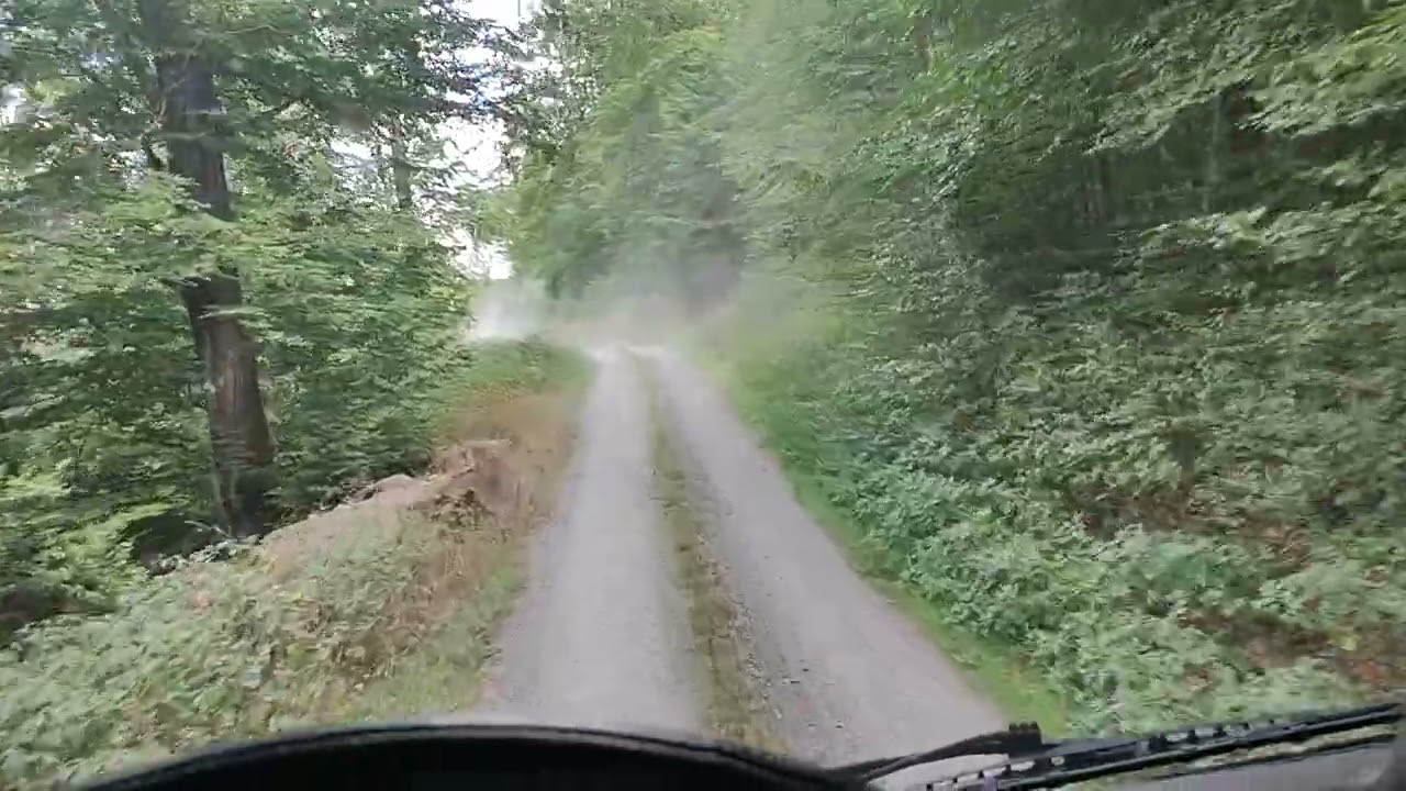 mit Iveco X-Way Langholz entlang der Kerspetalsperre
