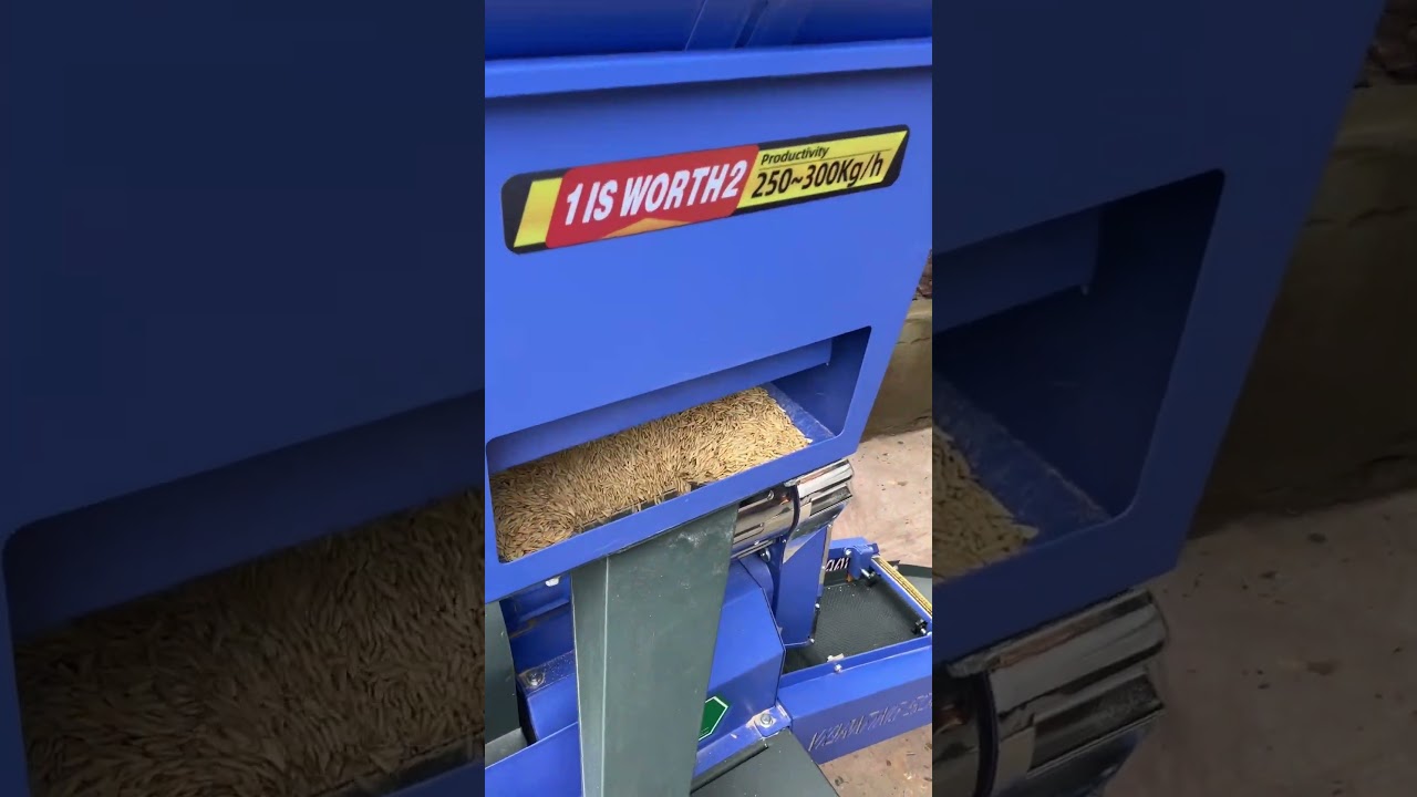 The seed hulling and sorting machine.#ricemill #machinery #farmer #dawnagro