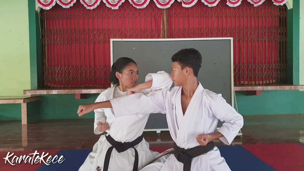 Basic Kihon Shoto (Ude) Uke, Empi Uchi, Geaku Tsuki & Bunkai [KarateKece]