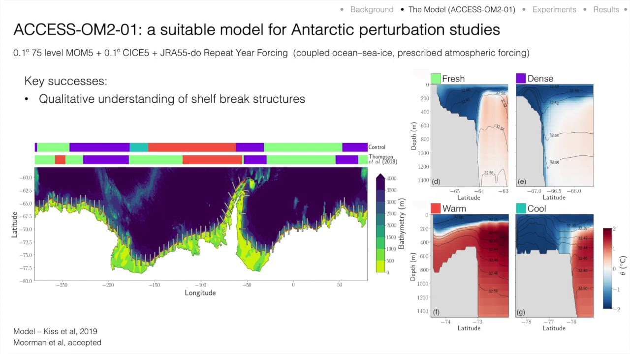 Thermal responses to Antarctic ice shelf melt in an eddy rich global ocean&ndash;sea-ice model