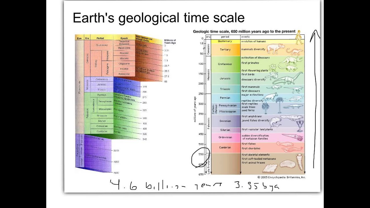 Geological history of Mars