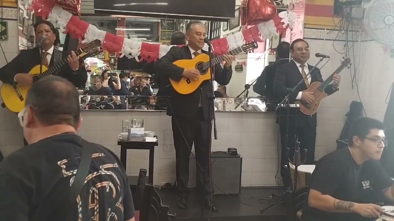 NO TRATES DE MENTIR ( Alfredo Gil ) TRIO DEL ANGEL 🎶🐱❤️🎵🎸💯