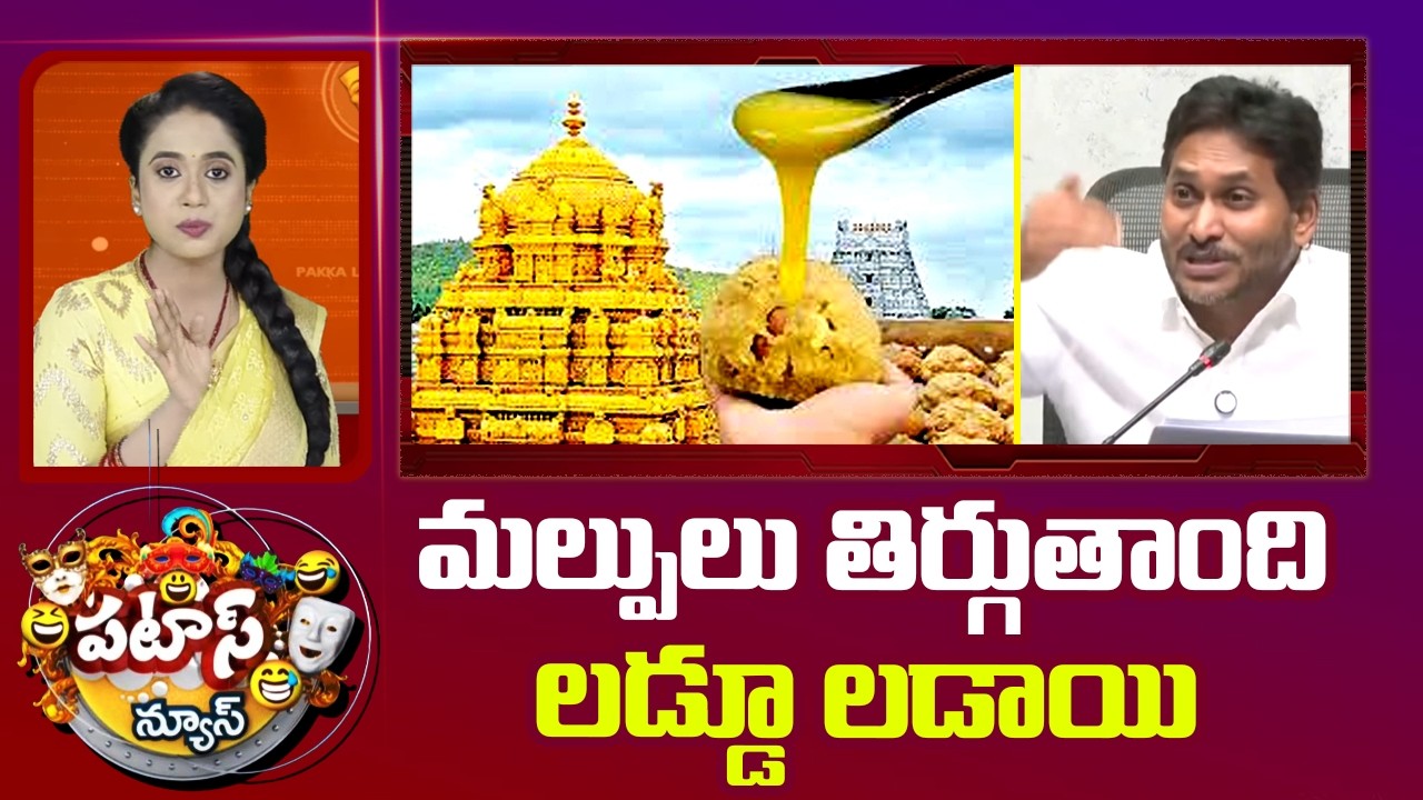 మల్పులు తిర్గుతాంది లడ్డూ లడాయి | AP Assembly | TTD Laddu Issue | YS Jagan | AP Govt | Patas News