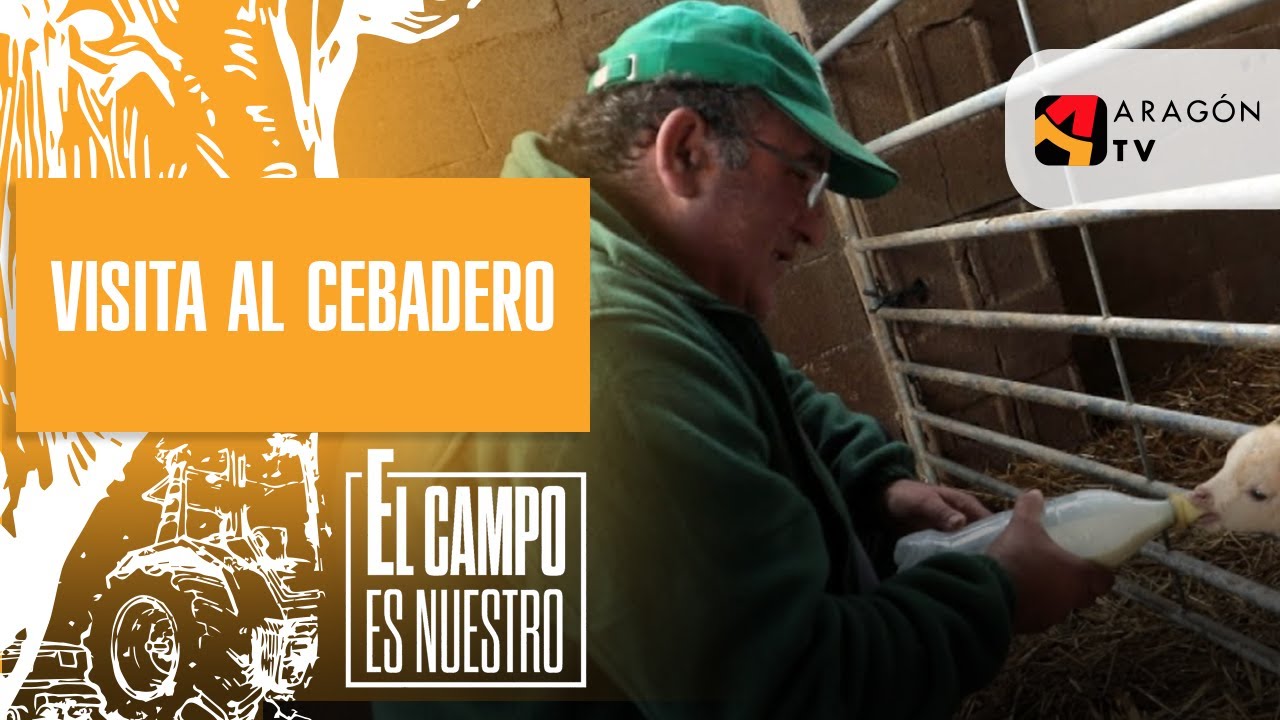 Visita al cebadero