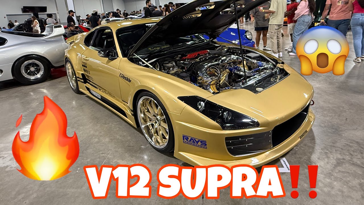 ЛУЧШЕЕ С WEKFEST В МАЙАМИ, ФЛОРИДА, 2025‼️