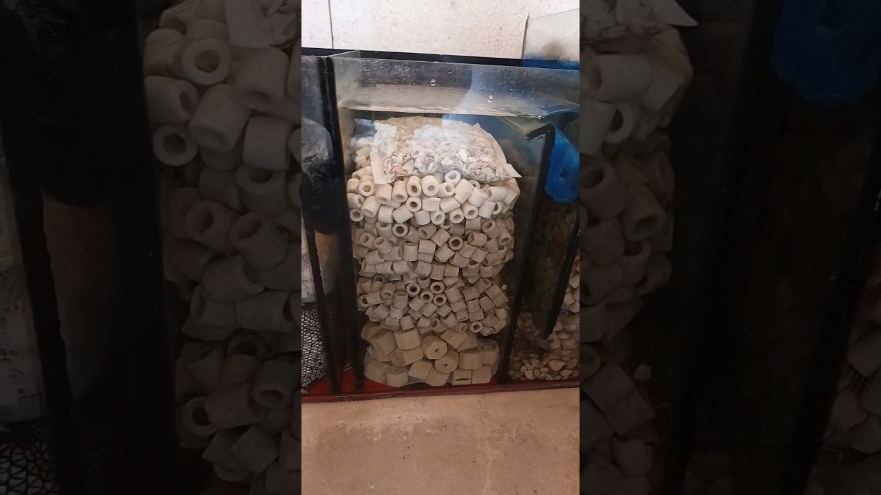 Sump 96 litros do meu aquário principal. 