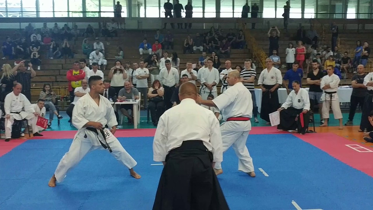KUMITE - Oliwer DOBRE vs Florin MURESAN - CNKT 2017 (fudokan)