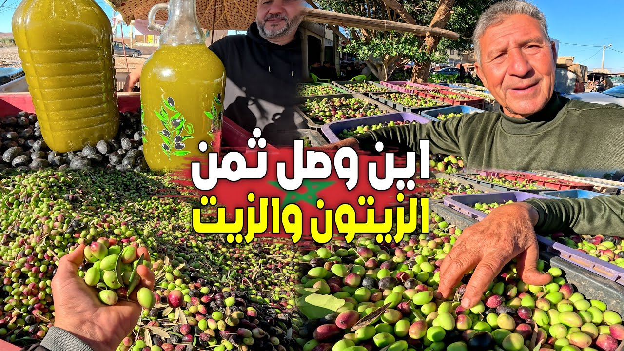 قبل ما تشري الزيتون أو الزيت شوف أثمنة سوق الزيتون بالشويحية إقليم بركان 19_11_2025