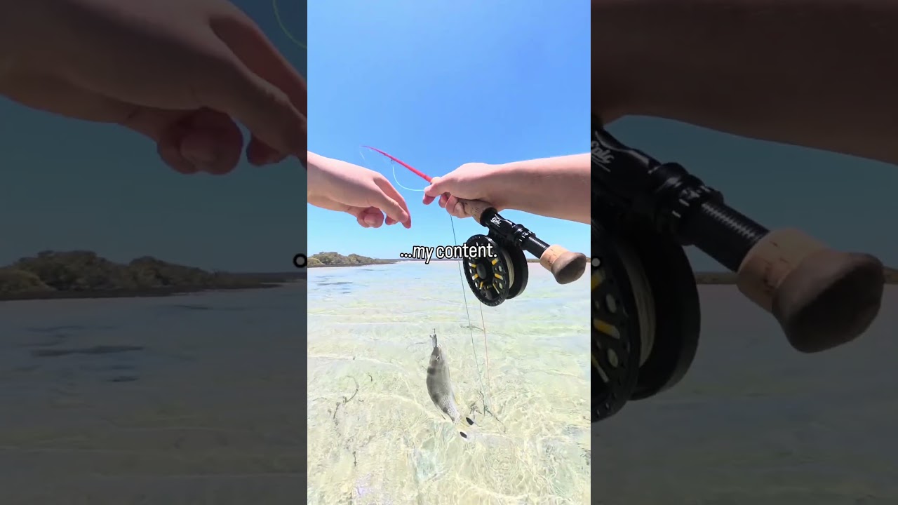 I make POV fishing content. If you&rsquo;re interested drop a like, comment or follow.