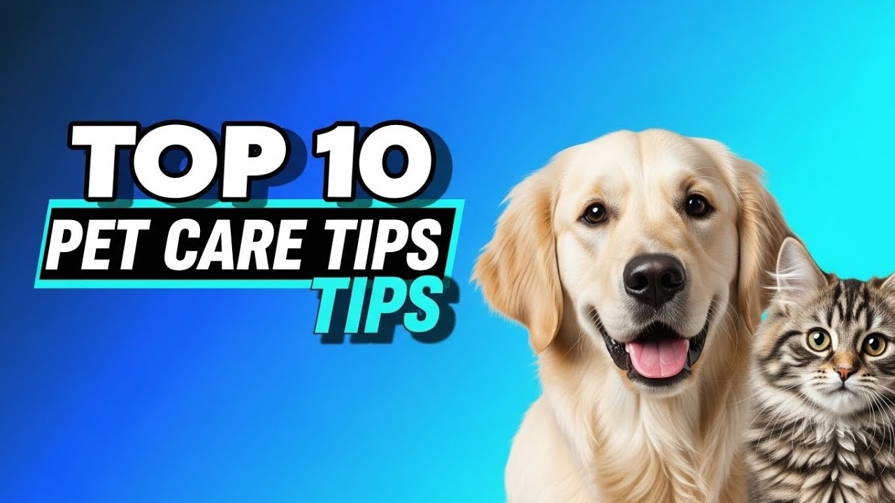 Top 10 Pet Care Tips Every Pet Owner MUST Know!
