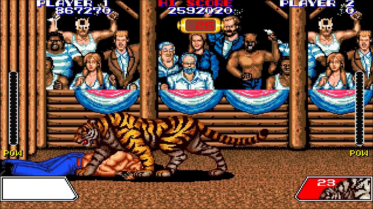 Violence Fight ARCADE (HD)