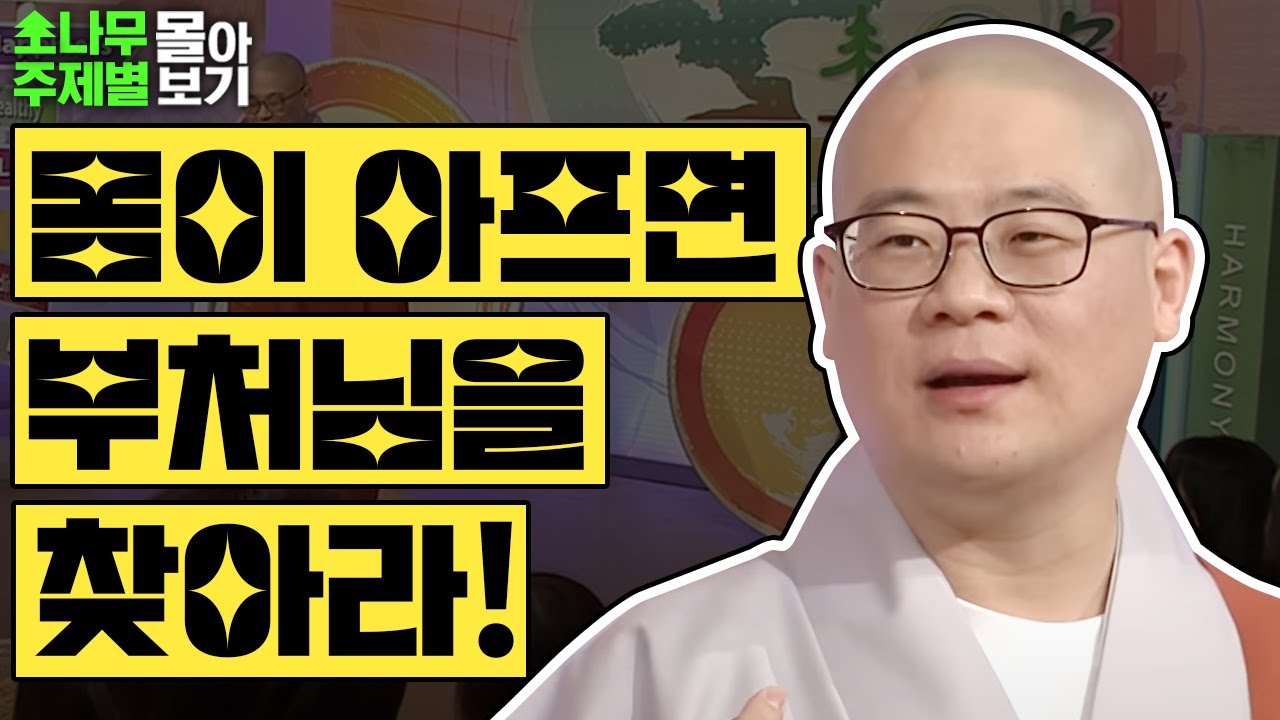 몸이 아파 힘들다면? 부처님을 찾아라 [광우스님 소나무 주제별 몰아보기]