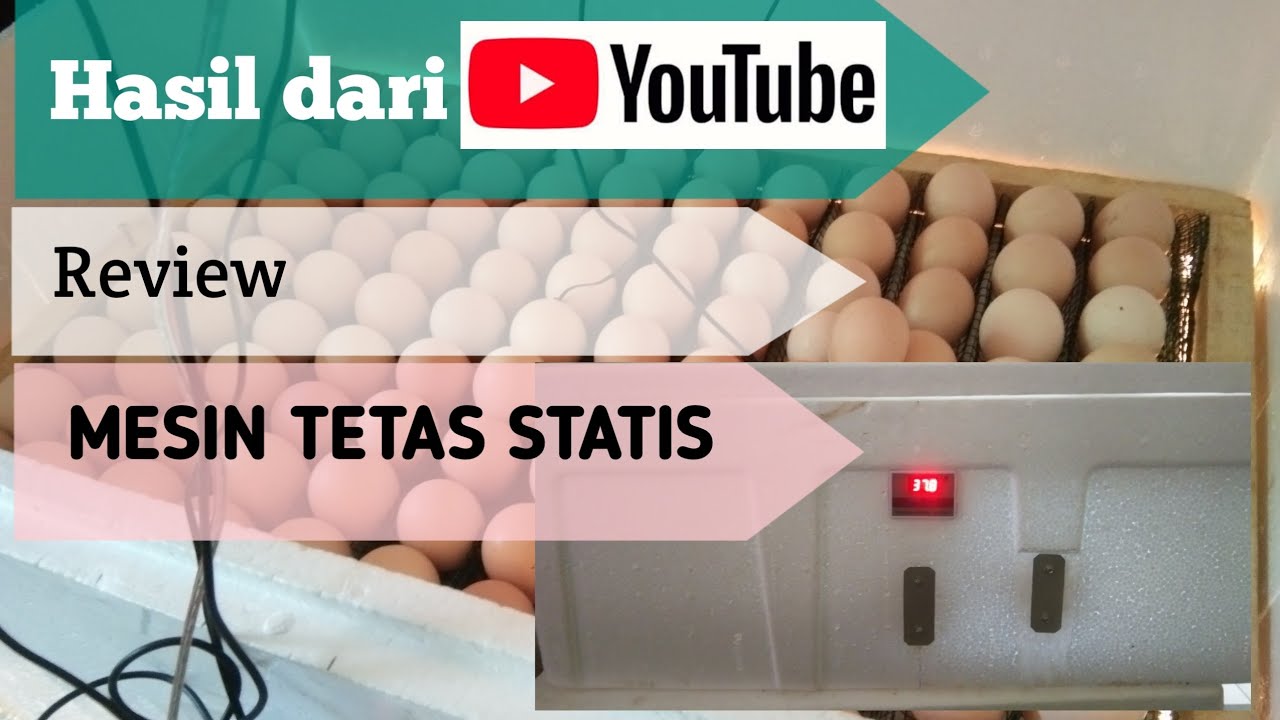 Mesin penetas telur statis - review mesin tetasan telur statis