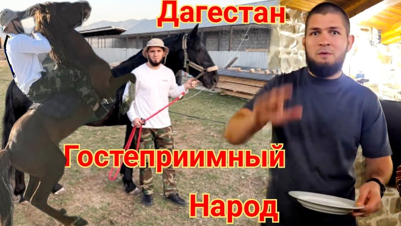 Хабиб с сыном: отшлепали гостья/ Ислам Махачев наехал на Американца Гаджи Рабаданов Ризван Магомедов
